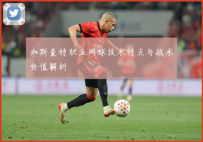 加斯奎特职业网球技术特点与战术价值解析