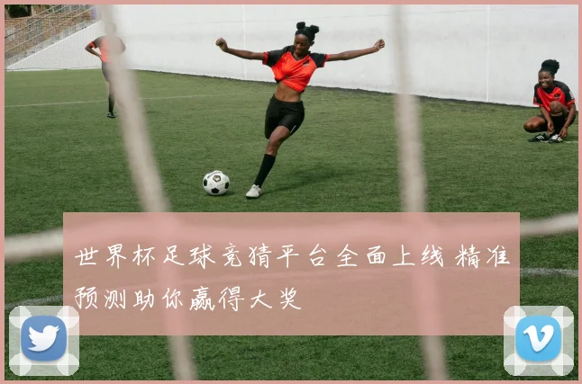 世界杯足球竞猜平台全面上线 精准预测助你赢得大奖