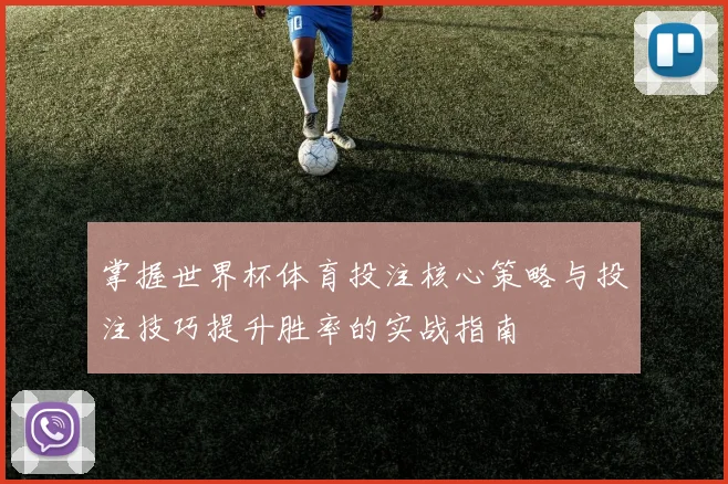掌握世界杯体育投注核心策略与投注技巧提升胜率的实战指南