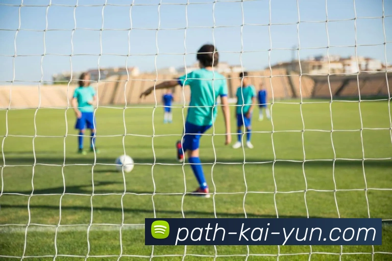 开云平台展示图