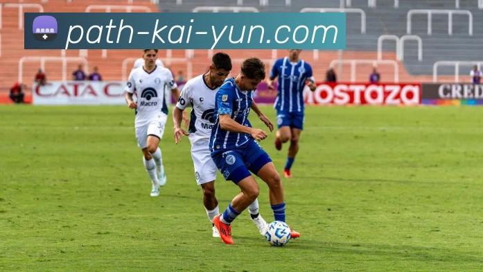 开云官网全站App